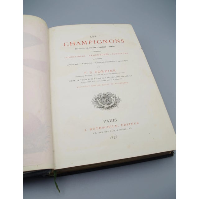 Antiquarian French Mushrooms: Les Champignons For Sale - Image 4 of 11