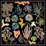 Into the Sea Forest Limited Edition Giclee Print by Sarah Gordon For Sale