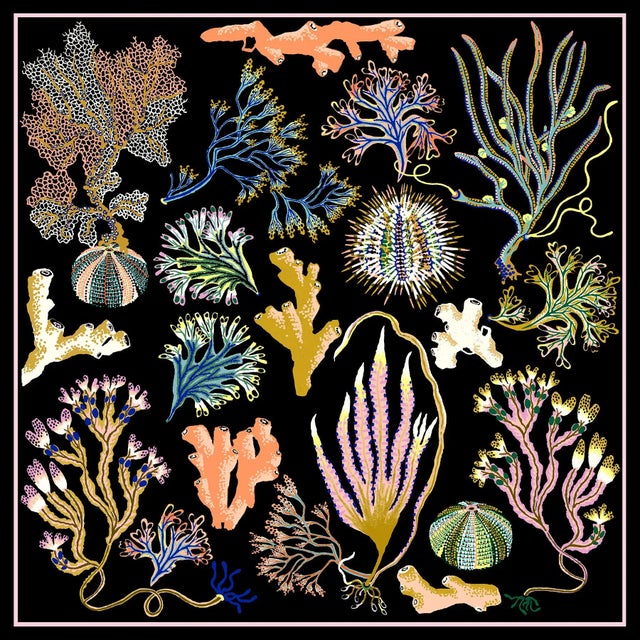 Into the Sea Forest Limited Edition Giclee Print by Sarah Gordon For Sale