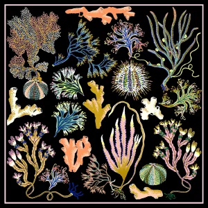 Into the Sea Forest Limited Edition Giclee Print by Sarah Gordon