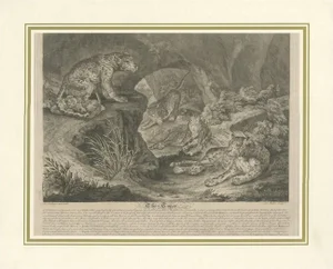 J.S. Müller after I.E. Ridinger, Big Cat Illustration, 1794, Print