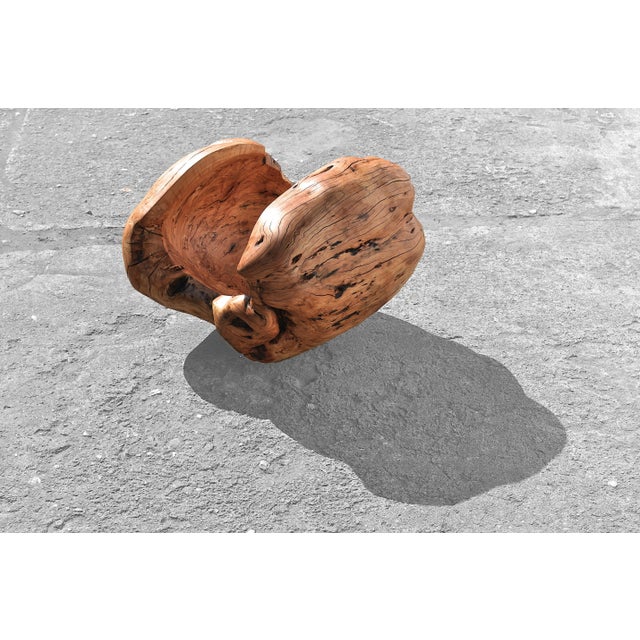 Beech Vessel 1396 by Jörg Pietschmann For Sale - Image 4 of 7