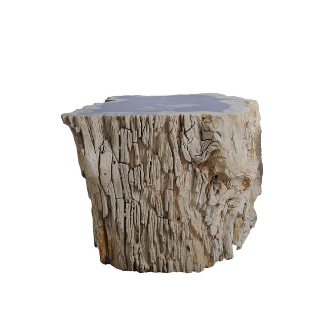 This striking side table is carved from a solid piece of petrified wood and forms part of a set, with the matching piece...