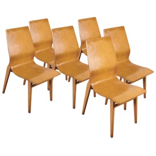 Vintage Curved Plywood Chairs, 1950s, Set of 6 For Sale