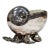 1880s English Silver Plated Nautilus Spoon Warmer For Sale