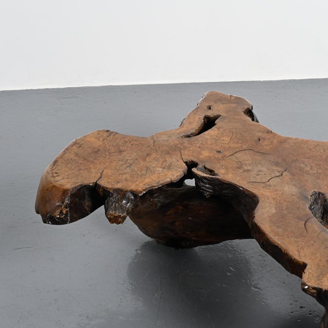 Brutalist Elm Burl Coffee Table, 1960 For Sale - Image 10 of 15