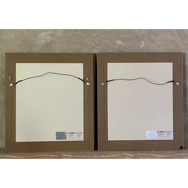 18th Century Hand Colored Engravings by George Edwards, Set of 2 For Sale - Image 12 of 12