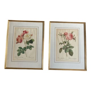 Pierre Joseph Redoute, Botanical Prints, 1929, Glass, Framed, Set of 2 For Sale