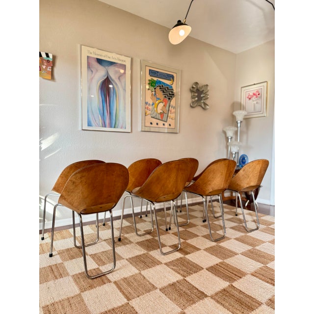 1950s A Set of 8 Mid Century Modern Italian “Medea” Chairs, Designed by Vittorio Nobili for F.lli Tagliabue, Circa 1950s. Not Markd. For Sale - Image 5 of 12