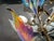 Wings of Freedom Chandelier in Murano Glass by Franco Luce, 1980s For Sale - Image 12 of 15