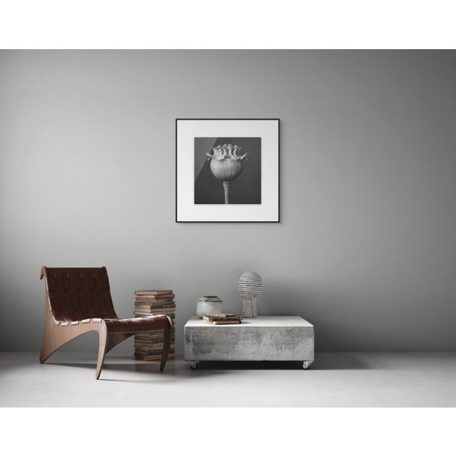 Contemporary Poppy Pod Head No. 1 - Black and White Botanical Floral Photograph Print | Karl Blossfeldt | Unframed For Sale - Image 3 of 3