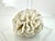 1960s Vintage Mid Century Lucite Bookends With Natural Coral Specimens, Coastal Modern Sculptural Pair For Sale - Image 5 of 9