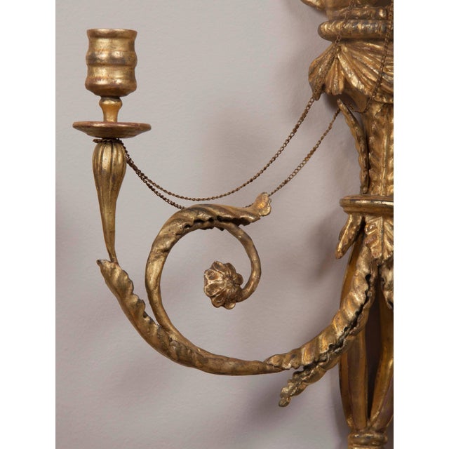 Regency Style Giltwood Gryphon Wall Sconces - a Pair For Sale In Boston - Image 6 of 11
