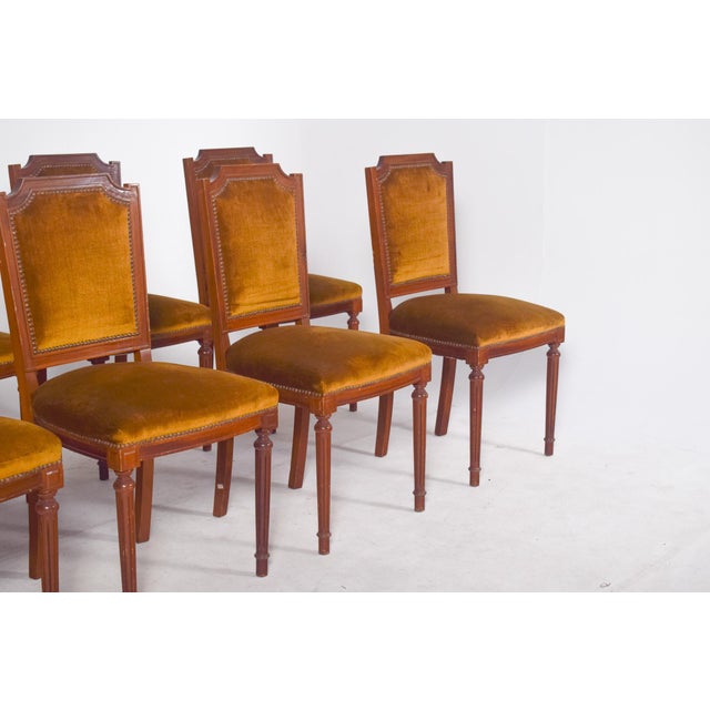 1950s Portuguese Dining Chairs, 1950s, Set of 8 For Sale - Image 5 of 12