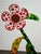 Yayoi Kusama (1929-2026), Flowers That Speak All About My Heart Given to the Sky, 2018 For Sale - Image 10 of 10