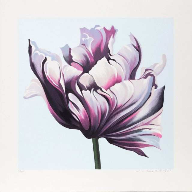 Parrot Tulip III, Lowell Blair Nesbitt Screenprint, Signed and Numbered in Pencil For Sale - Image 4 of 4