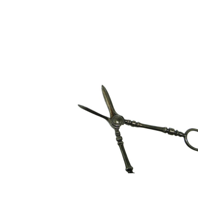 Art Nouveau Danish Scissors for Grapes, 1920s For Sale - Image 10 of 15