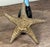 Nautical Vintage Brass Starfish Coastal Decorative Desk Object Sculpture / Paperweight For Sale - Image 3 of 6