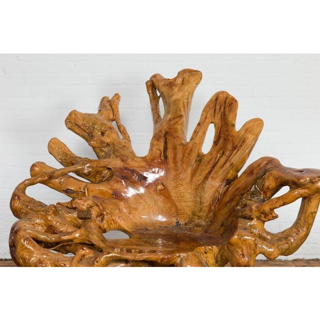 Wood Vintage Rustic Chinese Camphor Wood Tree Root Armchair with Light Varnish For Sale - Image 7 of 12