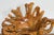 Wood Vintage Rustic Chinese Camphor Wood Tree Root Armchair with Light Varnish For Sale - Image 7 of 12