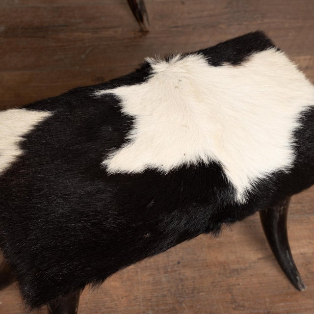 Animal Skin 20th Century Set (5) of Horn and Hide Armchairs, Ottomans and Side Table For Sale - Image 7 of 12