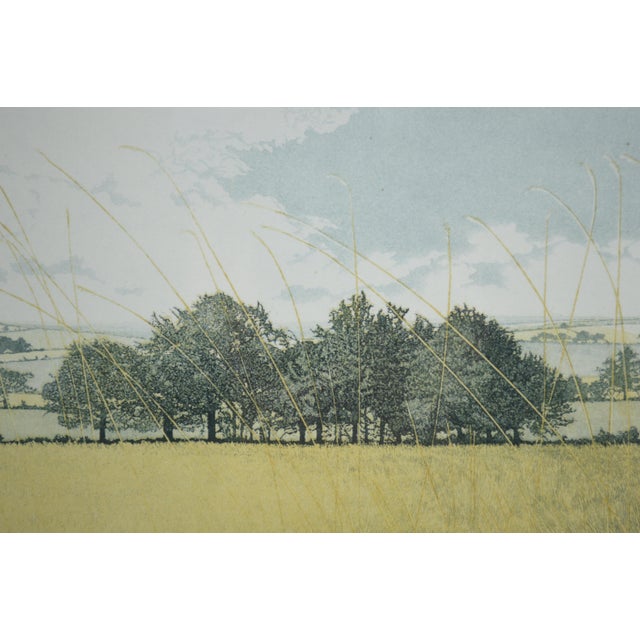 English Late 20th Century Phil Greenwood (Uk B 1943) Fine Landscape Etching Signed For Sale - Image 3 of 6