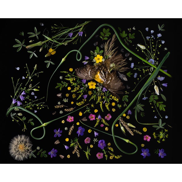 This framed giclée print presents a striking arrangement of a grosbeak surrounded by a vibrant array of flora, including...