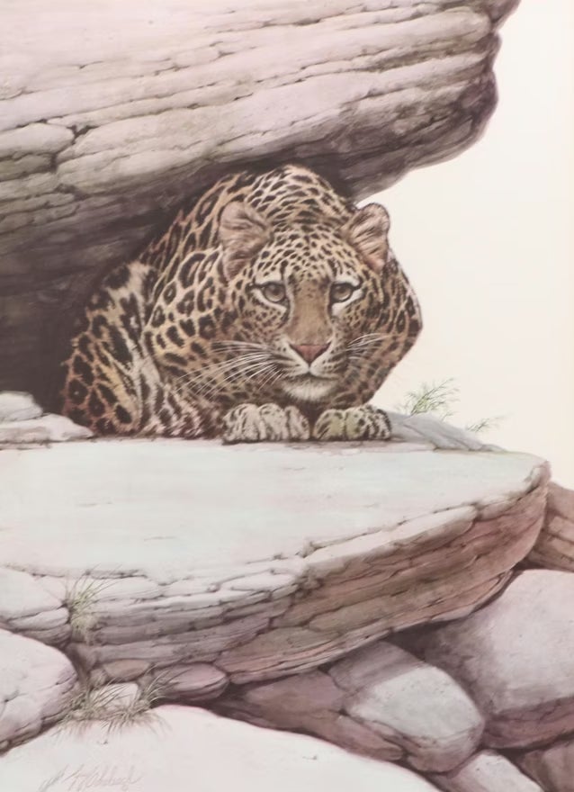 Late 20th Century Framed Leopard Lithograph 
