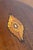 Wood 19th Century Danish Box Circa 1880 For Sale - Image 7 of 9