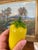 Glass Pair of Vintage Italian Murano Art Glass Yellow Banana Peppers.. For Sale - Image 7 of 10