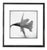 Paul Cooklin, Daffodil, Edition of 50 For Sale