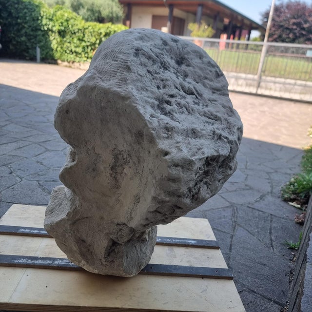 Stone Head of Philosopher, 1920, Stone For Sale - Image 7 of 12