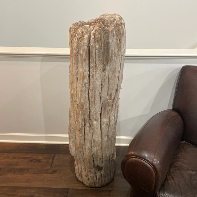 2000 - 2009 2006 Driftwood Sculpture For Sale - Image 5 of 13