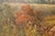 Gold W. Hampton Landscape Painting, Lakeshore For Sale - Image 8 of 18