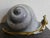 Vintage, charming decorative snail sculpture featuring a textured, stone‑like spiral shell paired with a smooth, glossy...