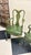 Mid-Century Chinoiserie Green Leather Arm Chairs - Queen Anne Style For Sale - Image 9 of 10