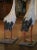 Pair of Early 20th Century French Painted Concrete Stork Garden Sculptures For Sale - Image 9 of 10