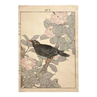 Imao Keinen, "Camellia and Hill Myna," 1891 First-Edition Antique Japanese Woodblock Print For Sale