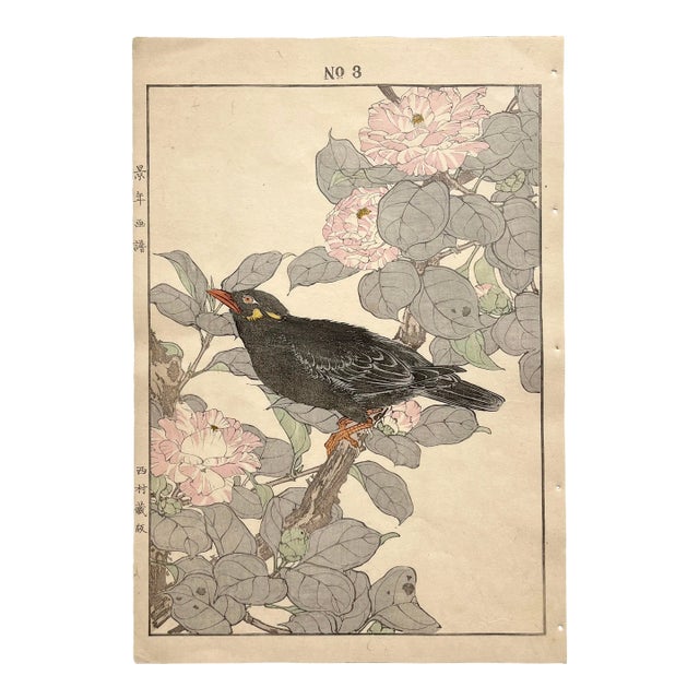 Imao Keinen, "Camellia and Hill Myna," 1891 First-Edition Antique Japanese Woodblock Print For Sale