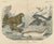 C. F. A. Kolb, Walrus and Narwhal, Arctic Sea Scene with Manatee, 1890, Print For Sale - Image 12 of 12
