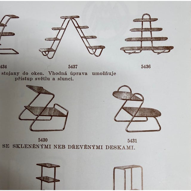 Functionalist Model 5431 Plant Stand from Mücke Melder, 1930s For Sale - Image 9 of 12