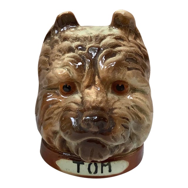Tom Terrier Saint Clement Majolica Money Bank For Sale