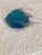 Murano glass angelfish, blue with controlled avventurina copper flakes in strings running vertically through it. This...