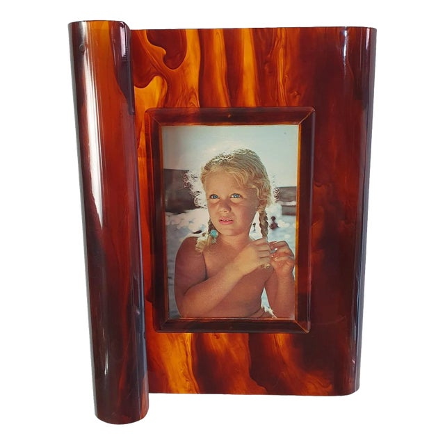 Faux Tortoise Acrylic Glass Picture Frame, Italy, 1970s For Sale