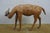 Realism 1960s Artisan Italian Leather Antelope Gazelle Blackbuck Figurine Statue 14" For Sale - Image 3 of 11