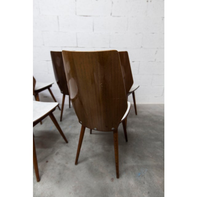 Set of 6 Baumann model 840 G2S chairs in varnished mahogany finish, 1963. Chairs in superb condition, seats cleaned and...