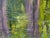 Blue Nancy Paris Pruden "Cypress Creek" Contemporary Naturalistic River Landscape Nature Painting, 2020s For Sale - Image 8 of 10