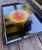 Mid 20th Century Rare Vintage Couroc of Monterey Sun Face Inlay Serving Tray – Hollywood Regency For Sale - Image 5 of 9