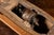 Antique Clockwork Pond Boat For Sale - Image 9 of 12
