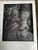 The Sistine Chapel Mary Pittaluga 1955 Art History Reproduction Plates For Sale - Image 10 of 12